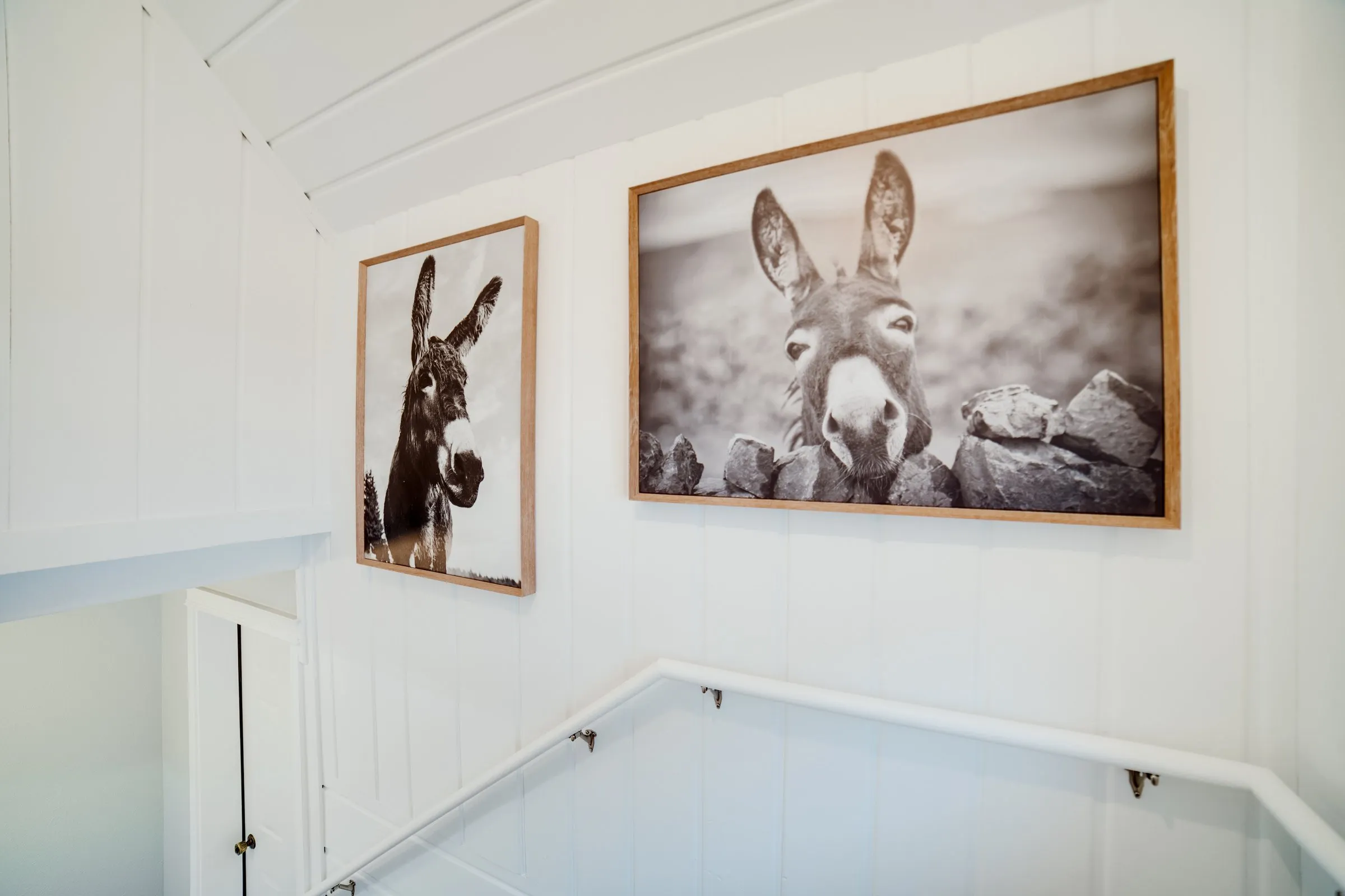 Black-and-white donkey portraits on the stair landing