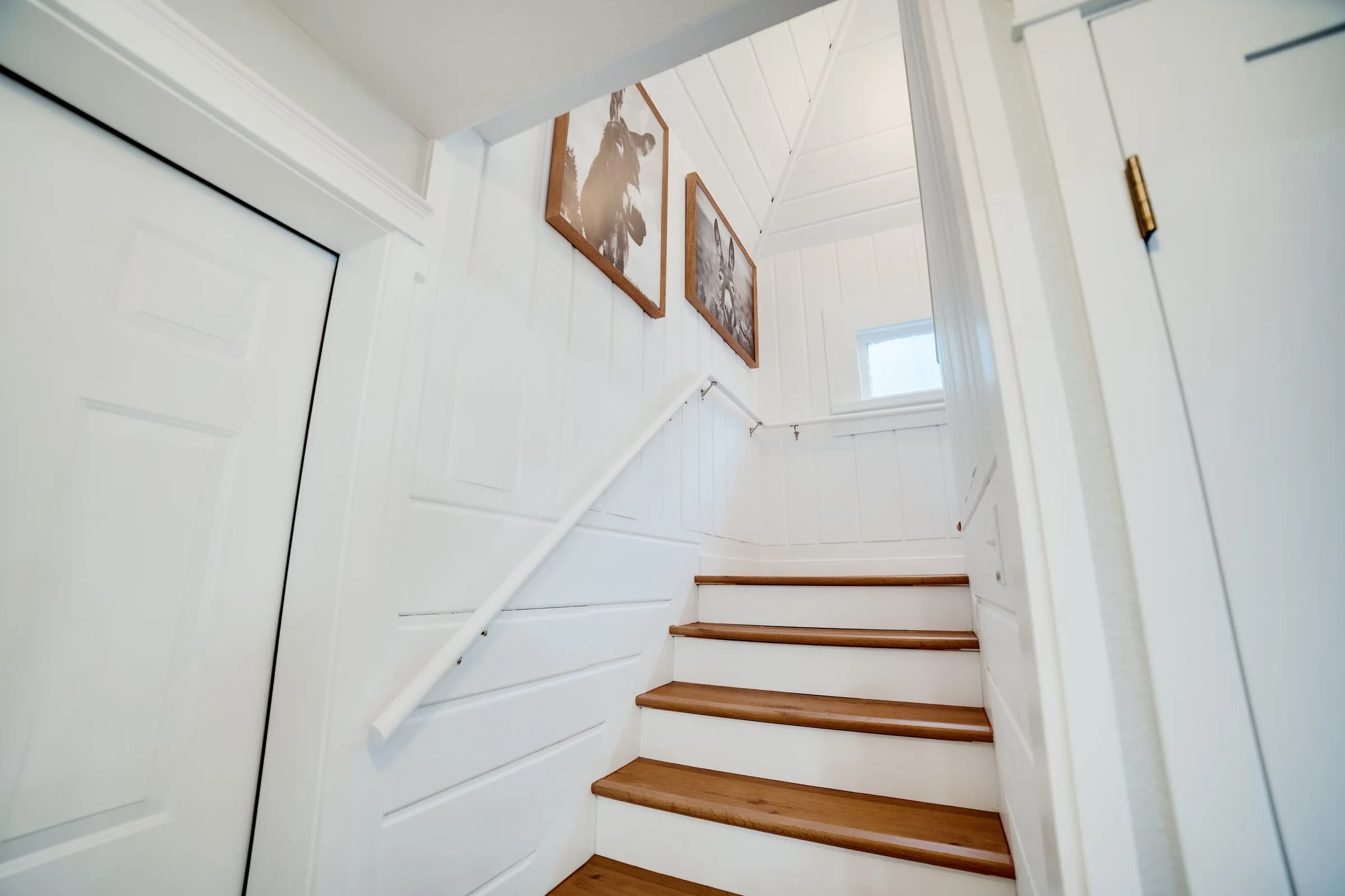 White shiplap staircase with donkey photography leading upstairs