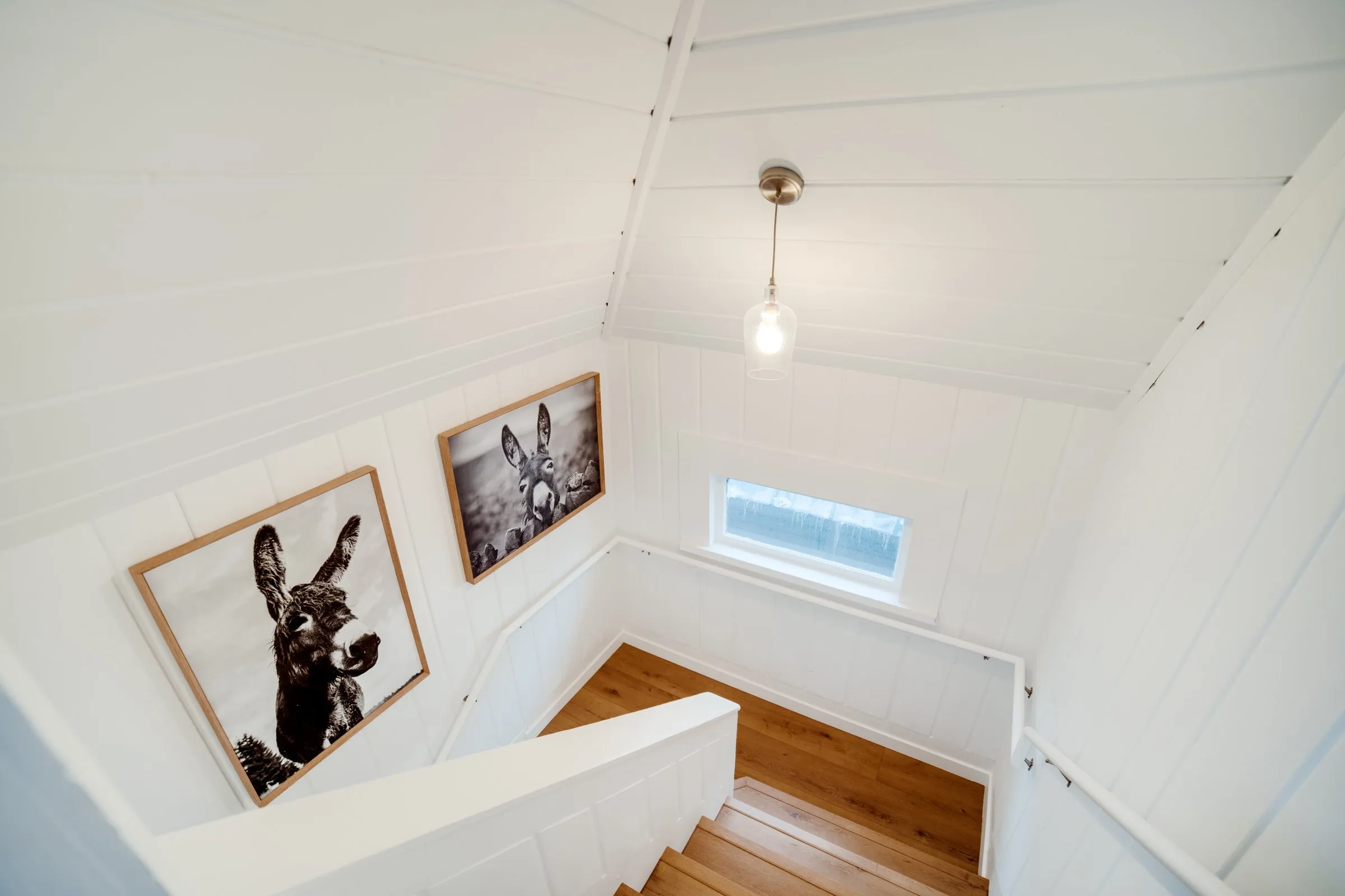 Upstairs landing with pendant light and donkey art